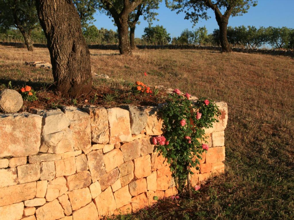 Pietraluce Guest House Alberobello Luaran gambar